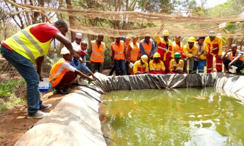 9200-punjab_fish_farming 9200-punjab_fish_farming